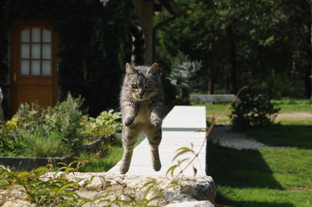 Chambre D'Hotes Domaine De La Pepiniere Bed & Breakfast Chouzy-sur-Cisse ภายนอก รูปภาพ