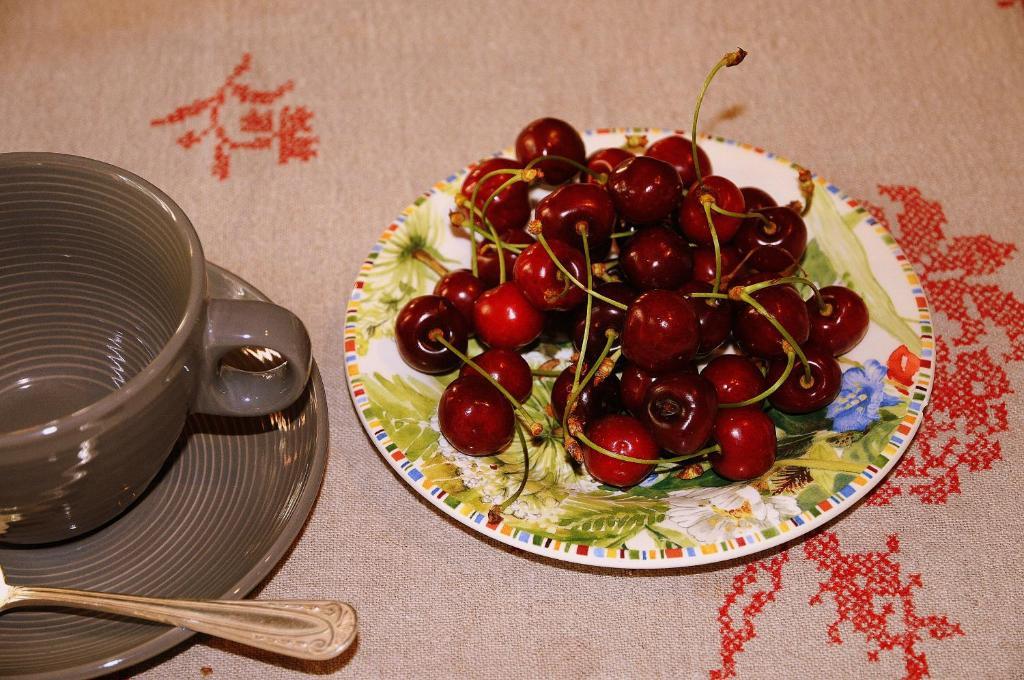Chambre D'Hotes Domaine De La Pepiniere Bed & Breakfast Chouzy-sur-Cisse ภายนอก รูปภาพ