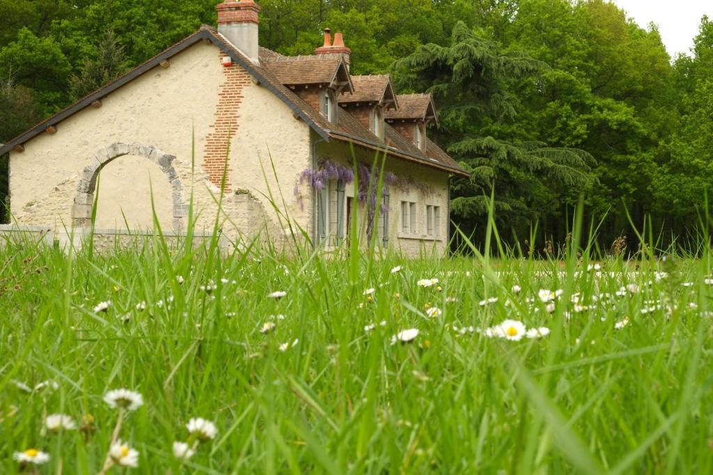 Chambre D'Hotes Domaine De La Pepiniere Bed & Breakfast Chouzy-sur-Cisse ภายนอก รูปภาพ